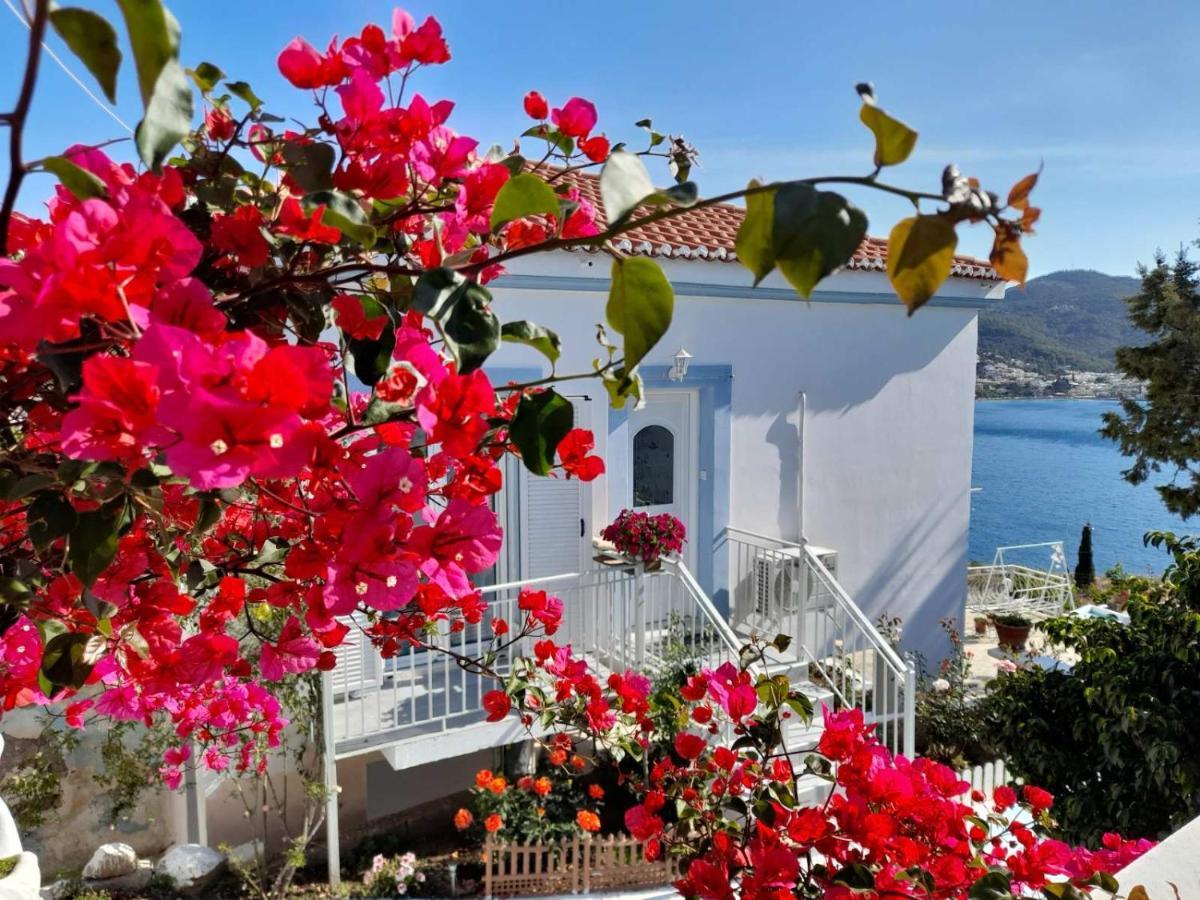 فيلا Sunrise View House Poros Town المظهر الخارجي الصورة